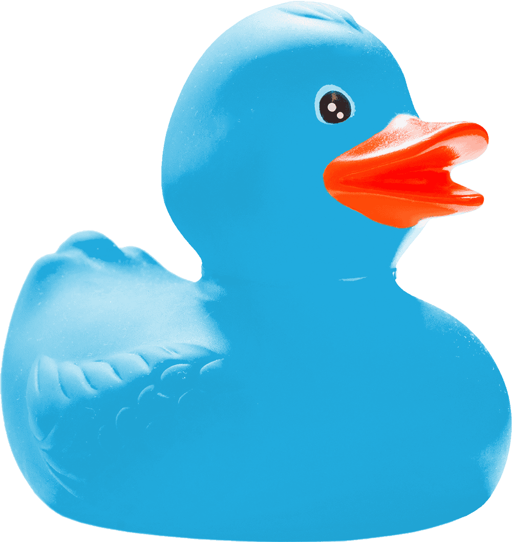 Bright blue rubber duck