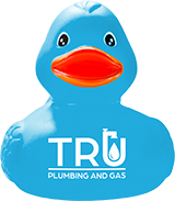 Smiling blue rubber duck with our logo