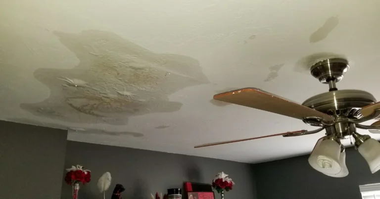 Hidden Water Leaks That Can Drive Up Your Florida Summer Water Bill